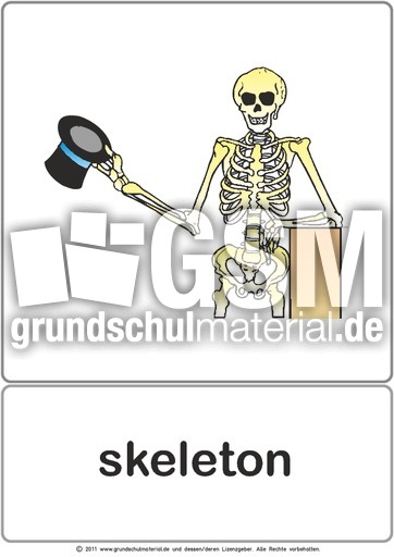 Bildkarte - skeleton.pdf